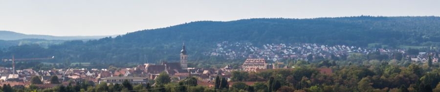 Suchmaschinenoptimierung (SEO) Forchheim