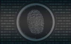 Sicherheit WordPress OAuth
