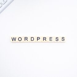 Wordpress-SEO-Optimierung