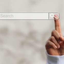 SEO Index Suche